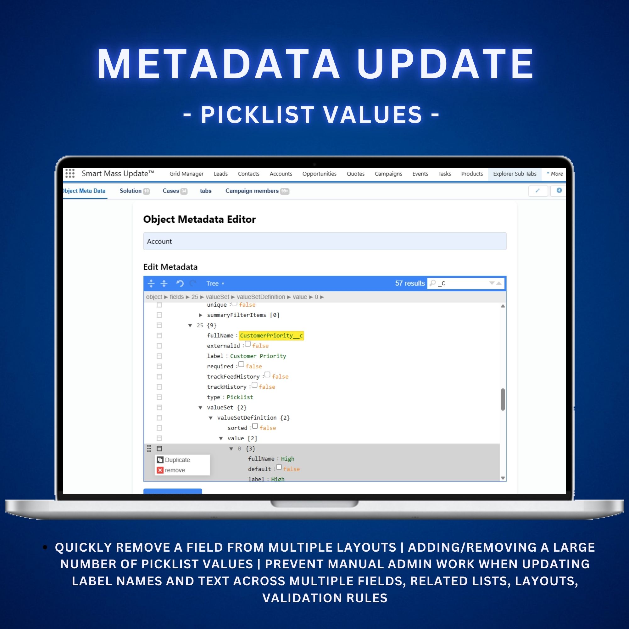 Mass update salesforce picklist values